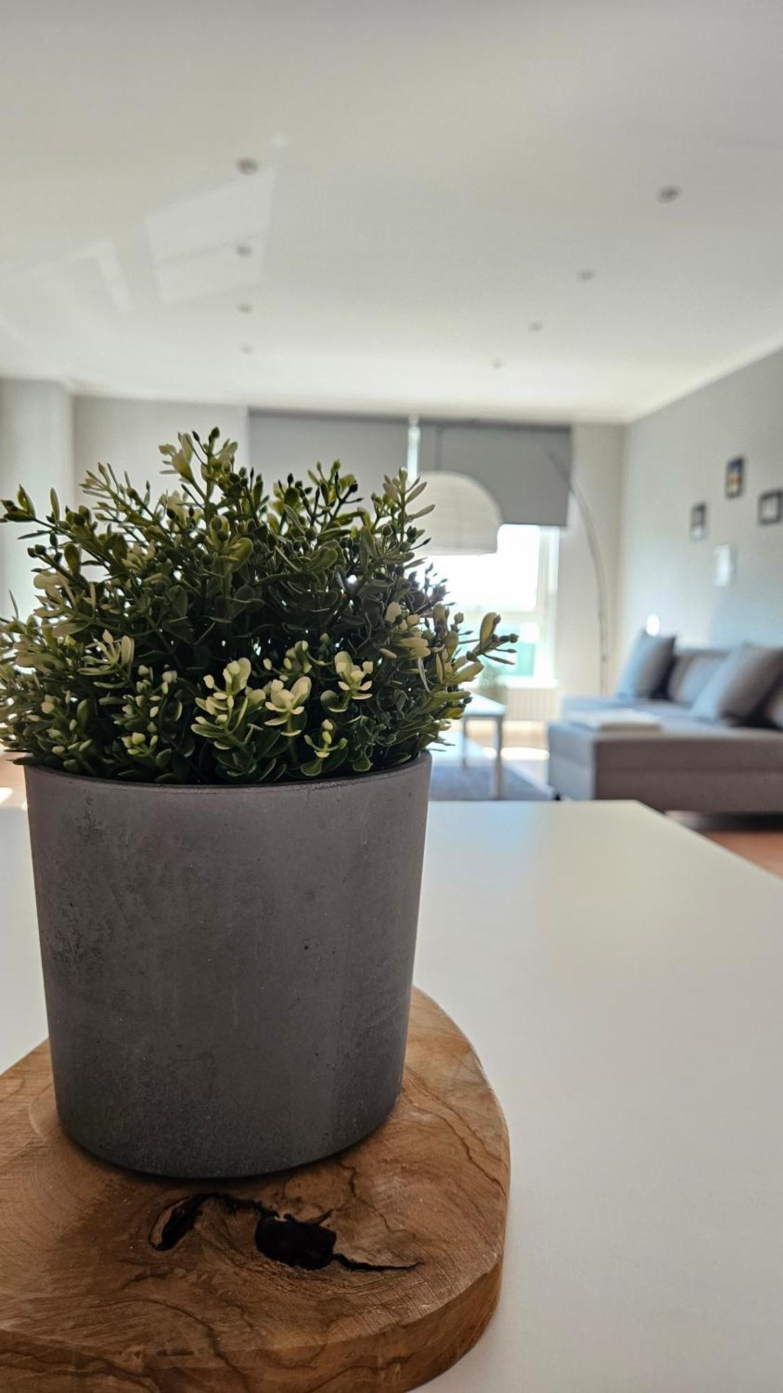 Apartment L19 One Bamberg - Geraeumig In Ruhiger Lage Mit Parkplatz Kültér fotó